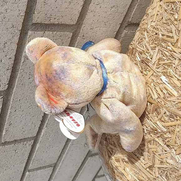 Clubby lll/Ty 🐻 - Picture 7 of 12